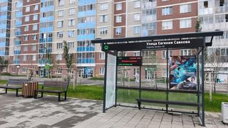 Остановка — Евгения Савкова 2