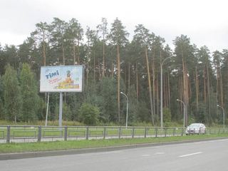 Щит 3х6 — Вильгельма де Геннина - 460м от Объездной (в Академический)