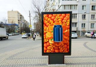 Ситилайты — ул. Лермонтова, в районе дома № 3Б (№2)