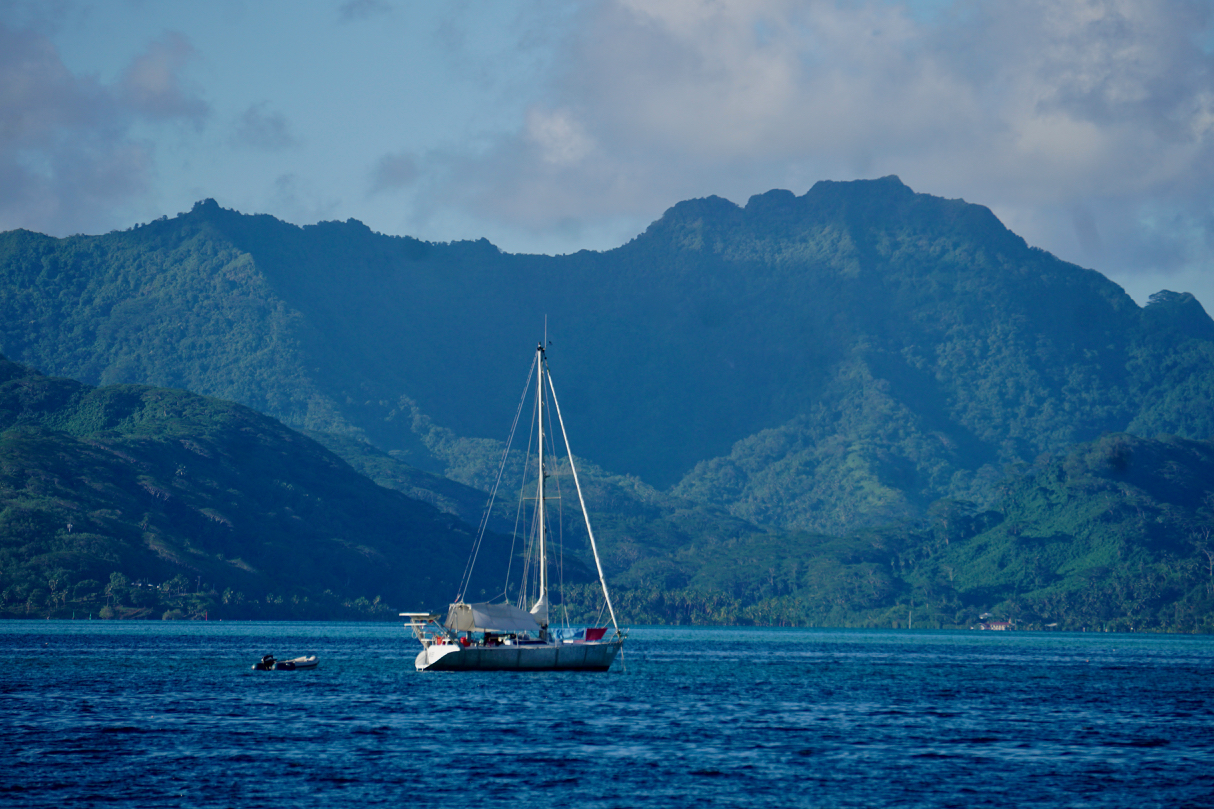How We Woke Up on a Reef – photo 6
