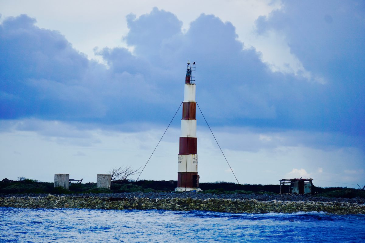 Along the Edge of Hurricane Irma—Under Sail. Days 7–8. About Birds – photo 3