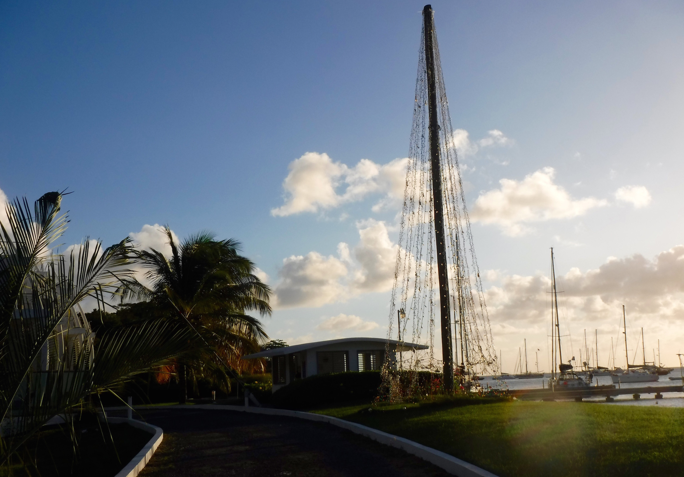 Caribbean Gallop. Grenada: Plans and Circumstances – photo 14