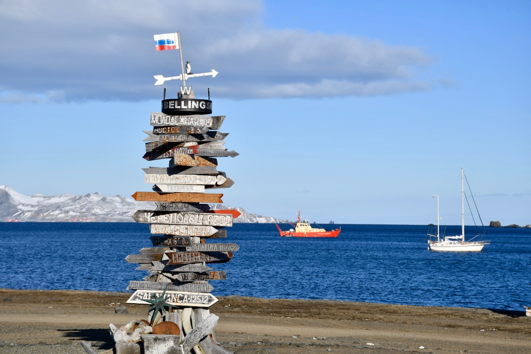 Антарктида. Первая русская семейная экспедиция – фото 5