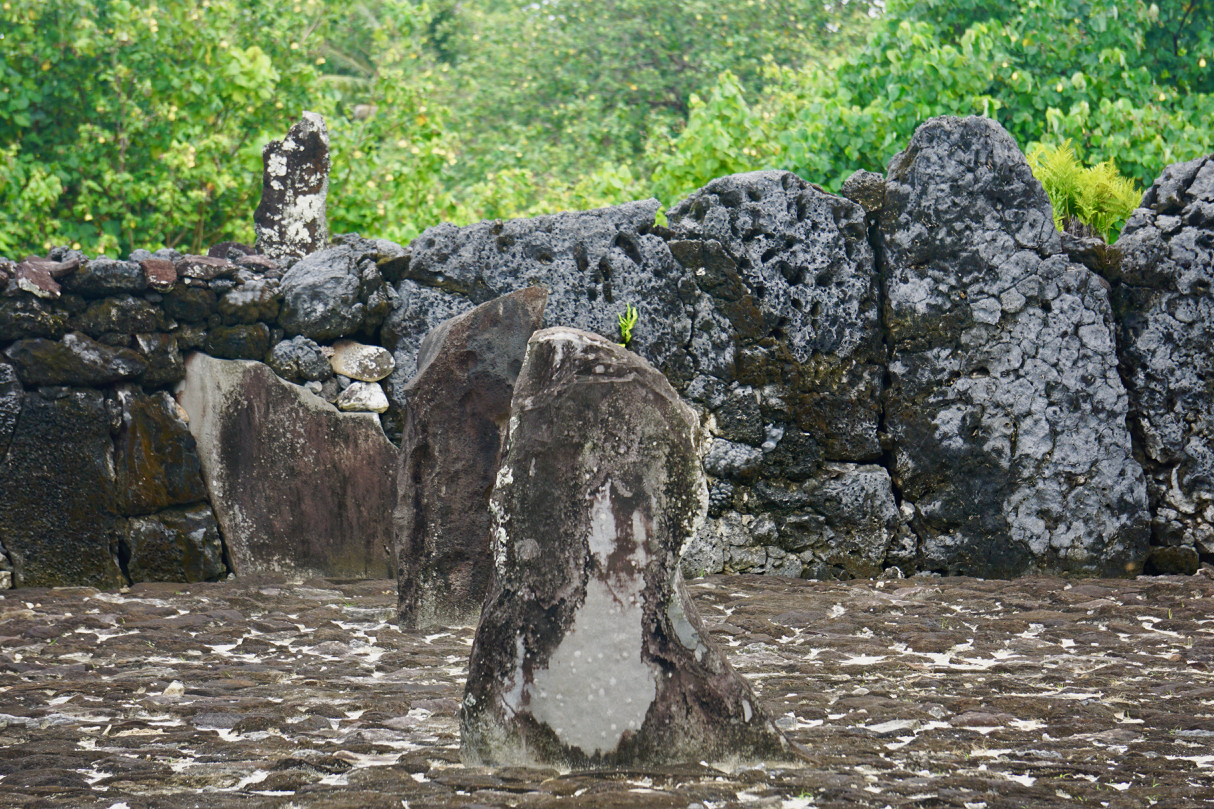How We Woke Up on a Reef – photo 4