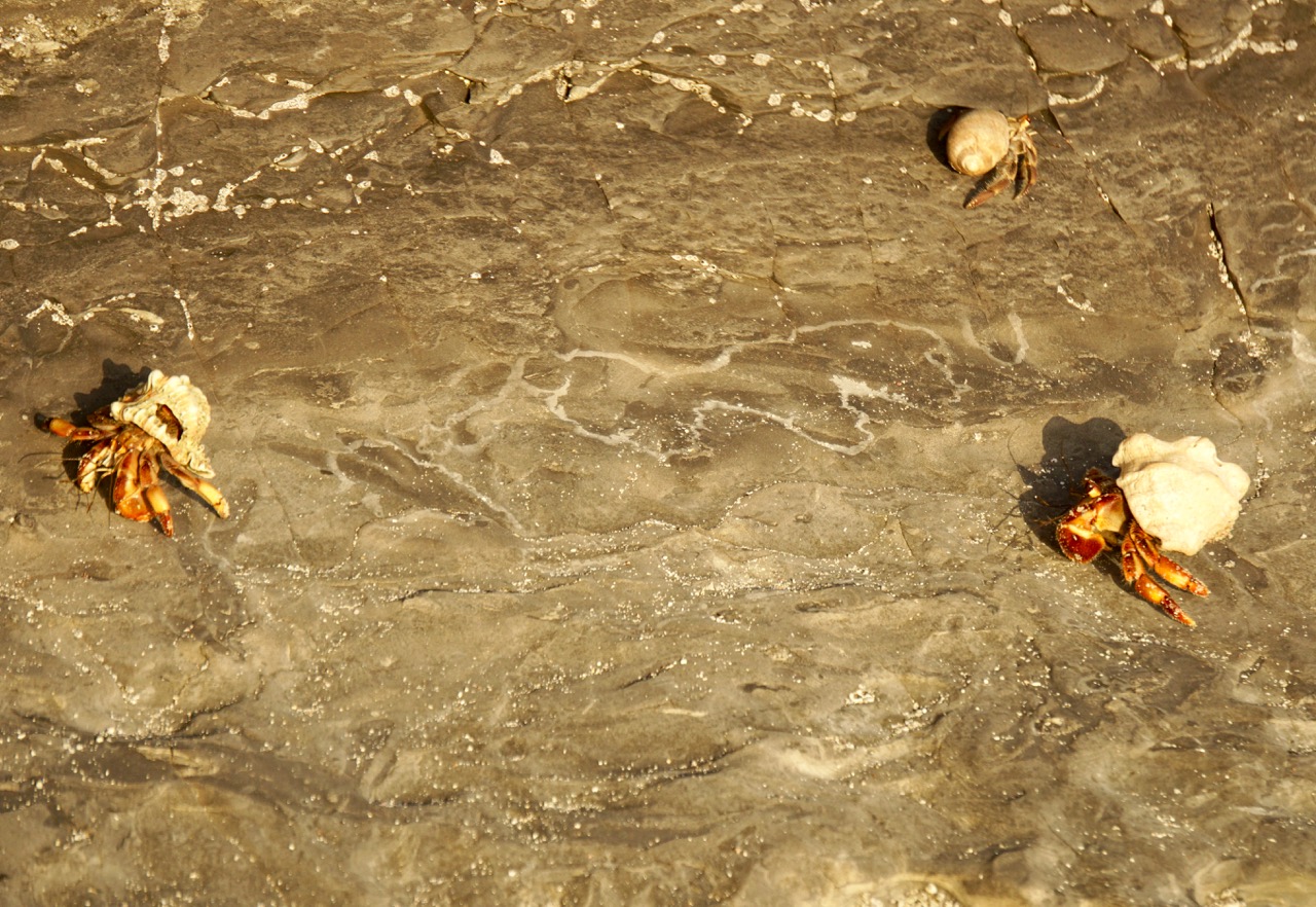 Чудеса кругосветного плавания – фото 6