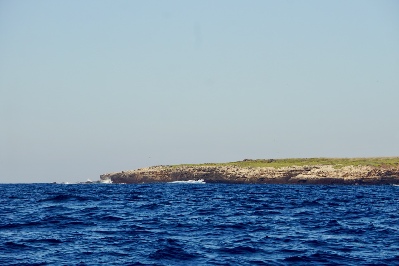 LAND!!! – photo 3