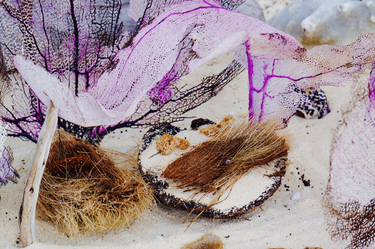 Turks and Caicos. Who’s Painting the Water Here? – photo 25