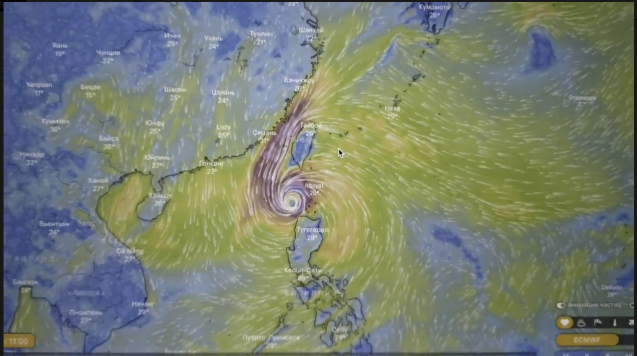 Typhoon – photo 1