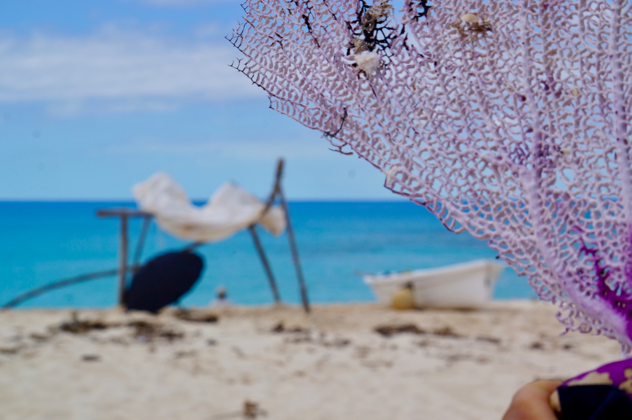 Turks and Caicos. Who’s Painting the Water Here? – photo 7