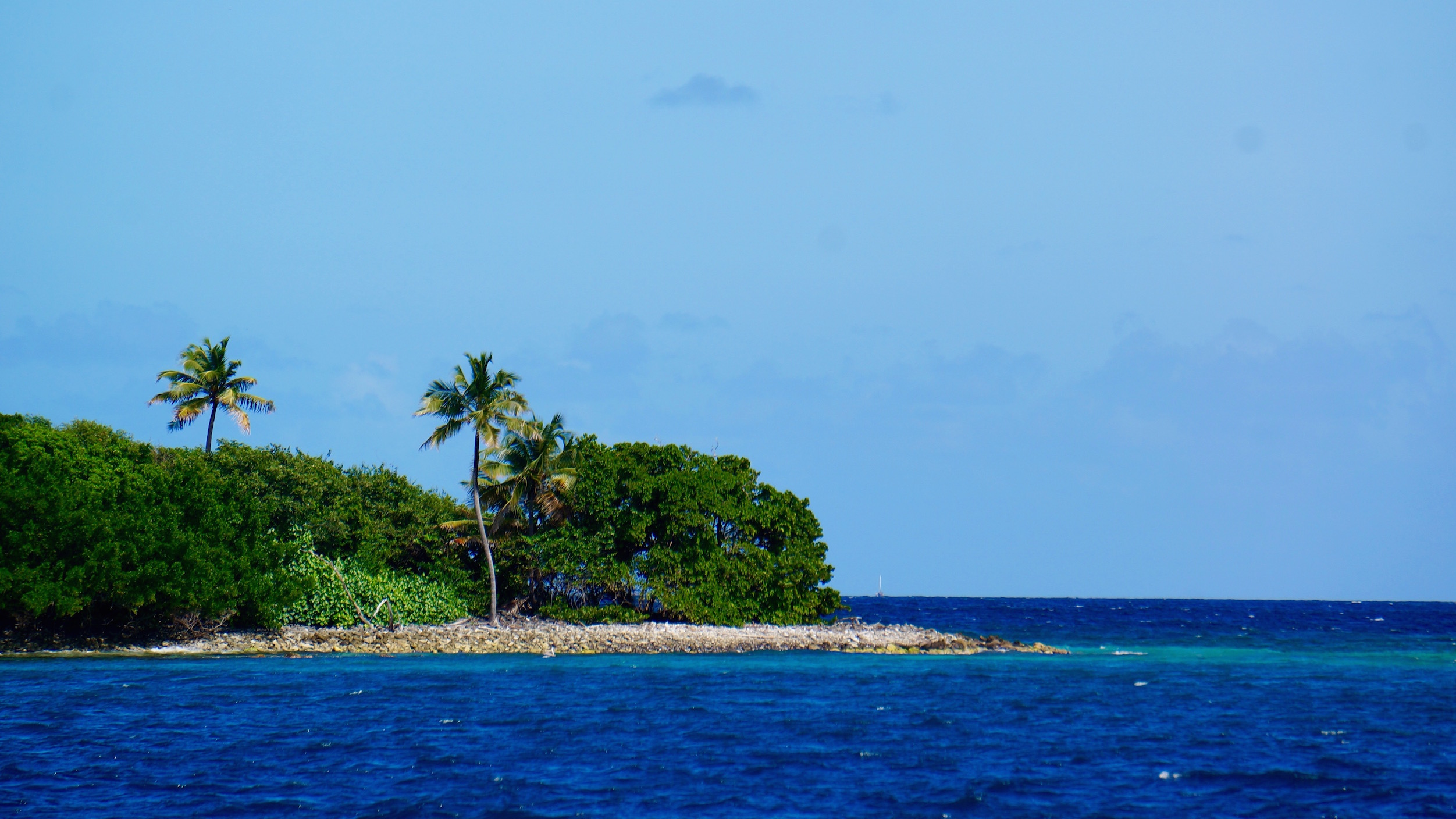 Caribbean Gallop. Grenada: Plans and Circumstances – photo 13