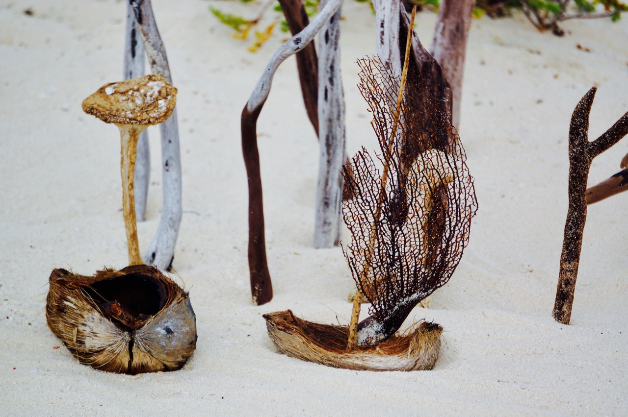 Turks and Caicos. Who’s Painting the Water Here? – photo 26