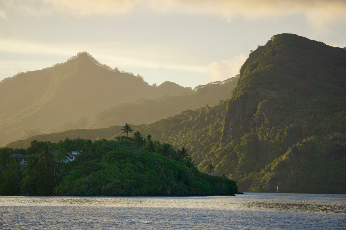 How We Woke Up on a Reef – photo 3