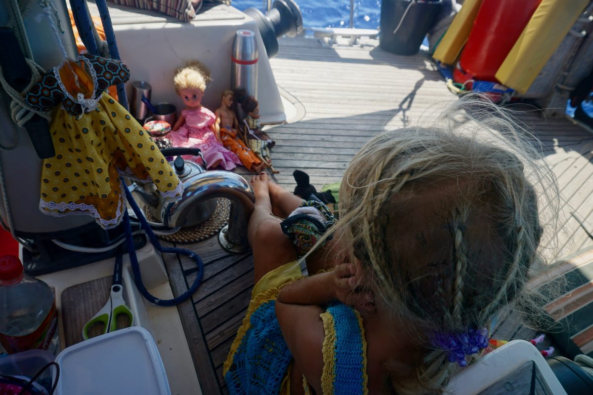 Along the Edge of Hurricane Irma—Under Sail. Days 7–8. About Birds – photo 7