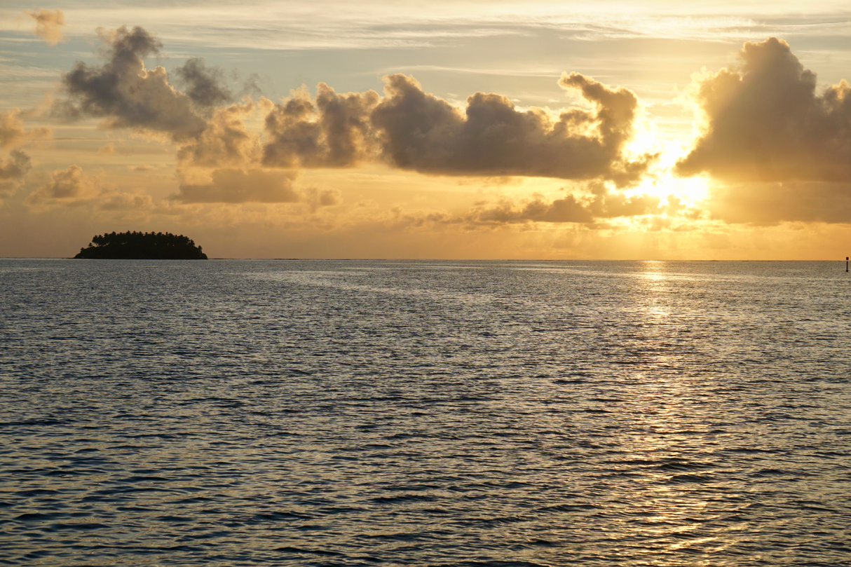 Hooray! We’re Offline Again! – photo 3