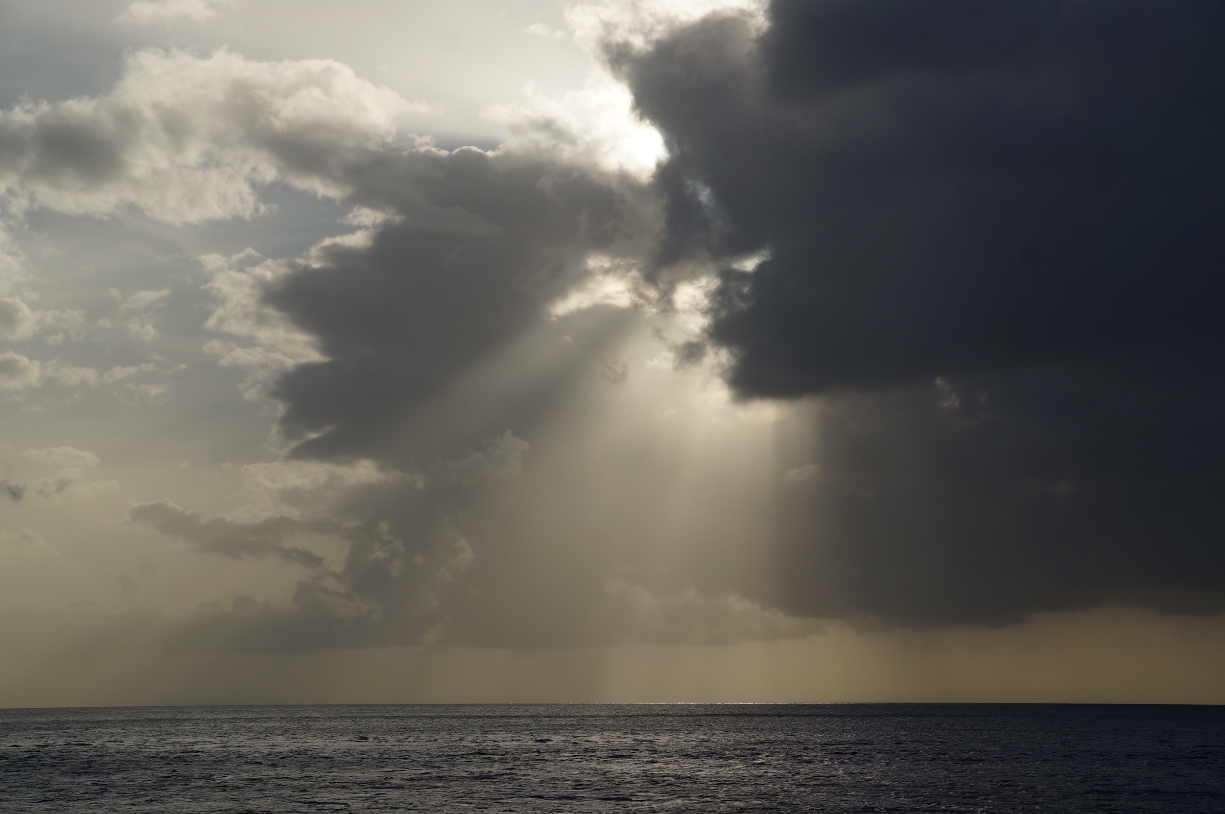 Caribbean Gallop. Grenada: Plans and Circumstances – photo 3