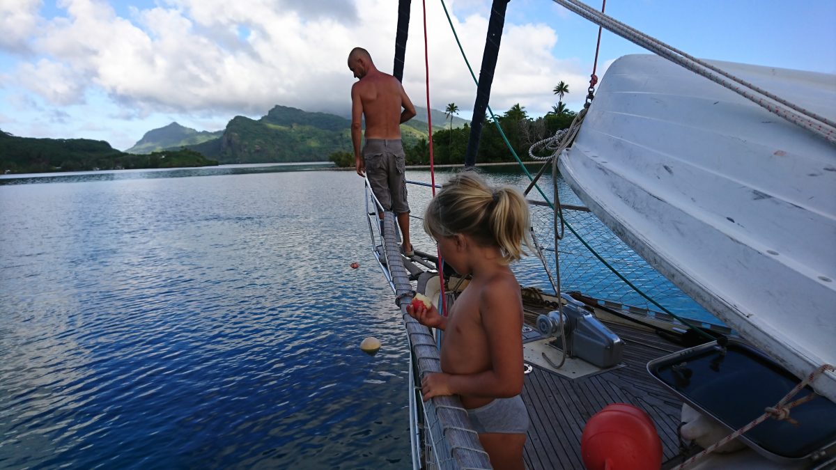 How We Woke Up on a Reef – photo 5