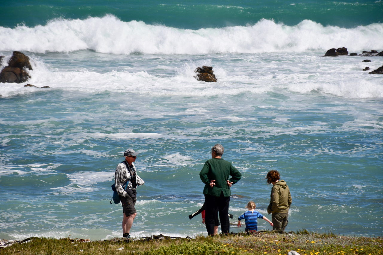 Южная Африка по-русски – фото 6