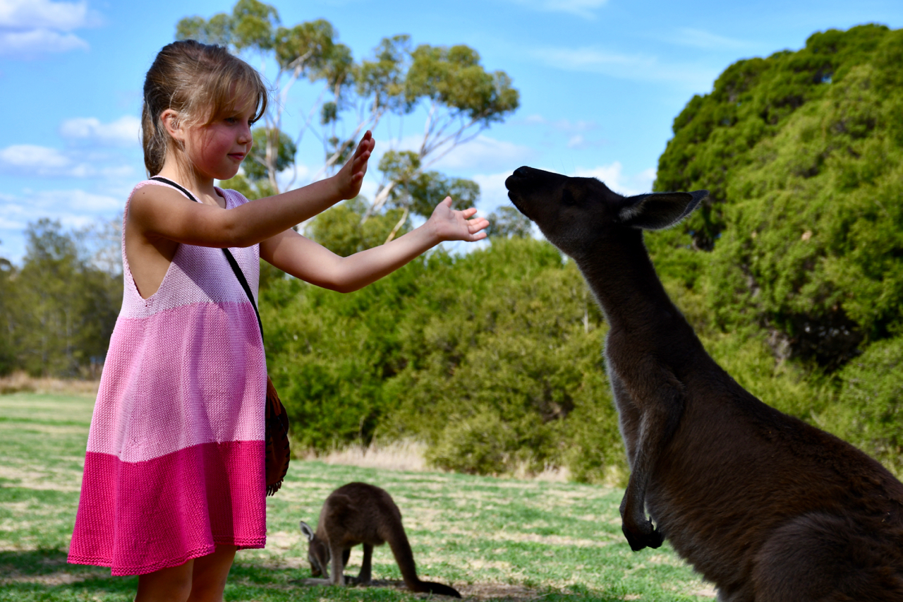 Quarantine and Coronavirus in Australia – photo 6