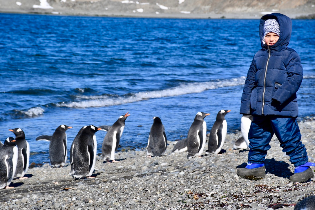 The Adventures of Niko the Little Penguin and His Friends. A Story by Our Young Sailor – photo 3