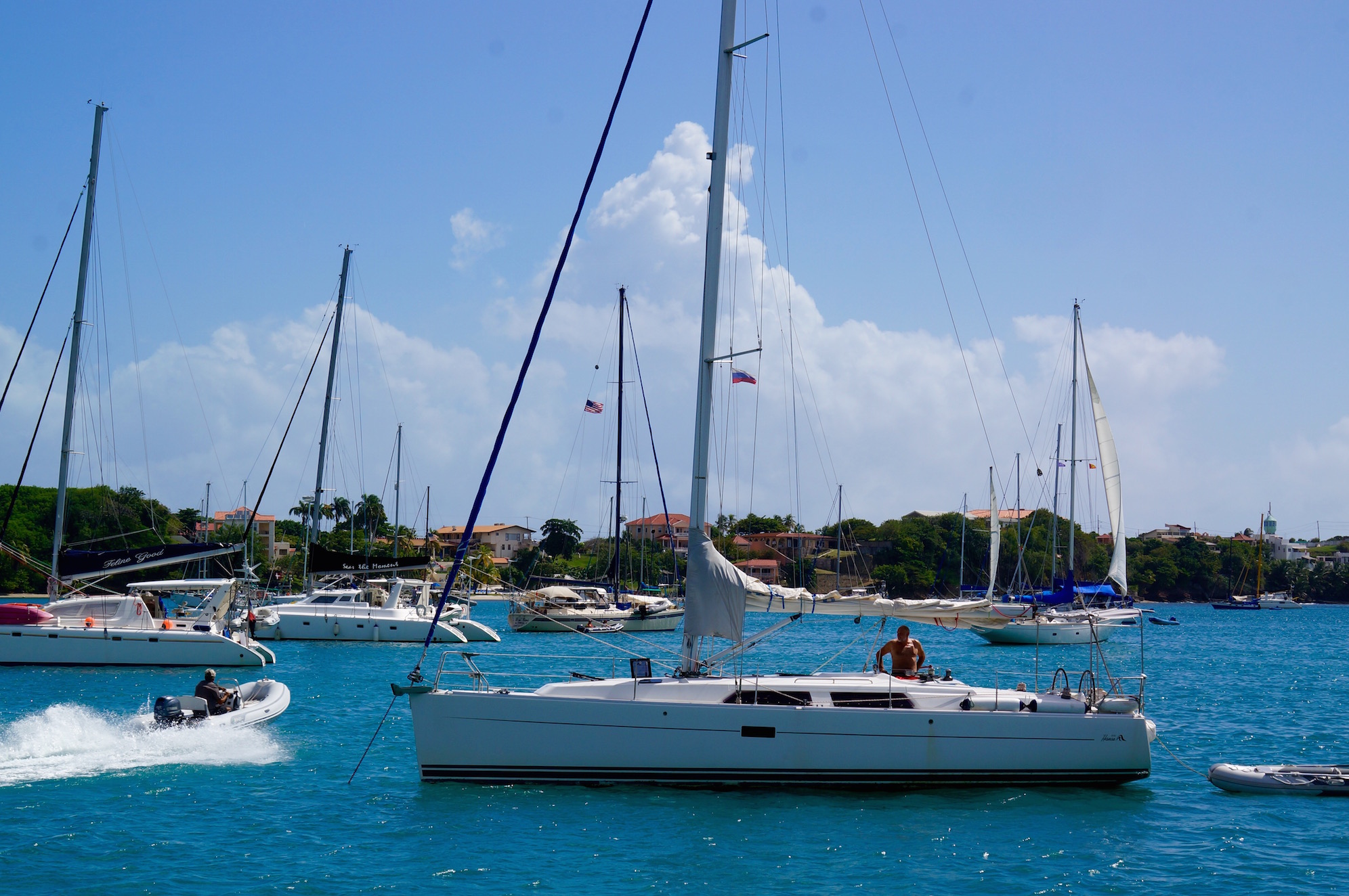 Caribbean Gallop. Grenada: Plans and Circumstances – photo 5