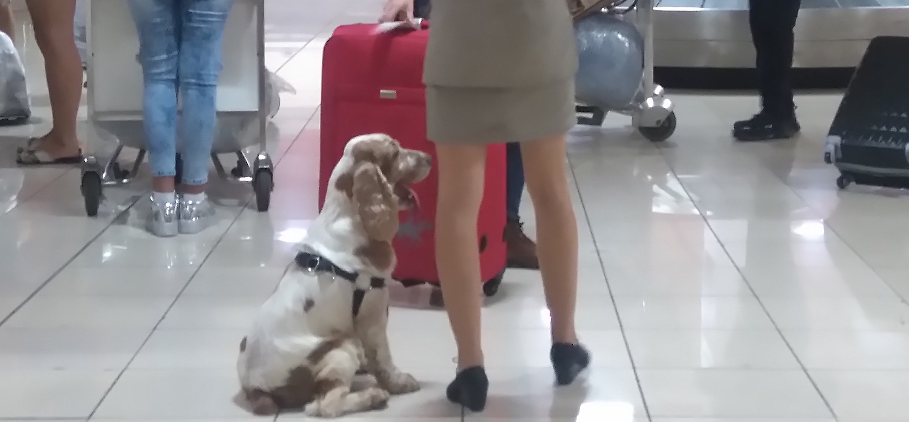 В Кубу - на самолете. Как нас чуть не повязали за ввоз наркотиков – фото 1
