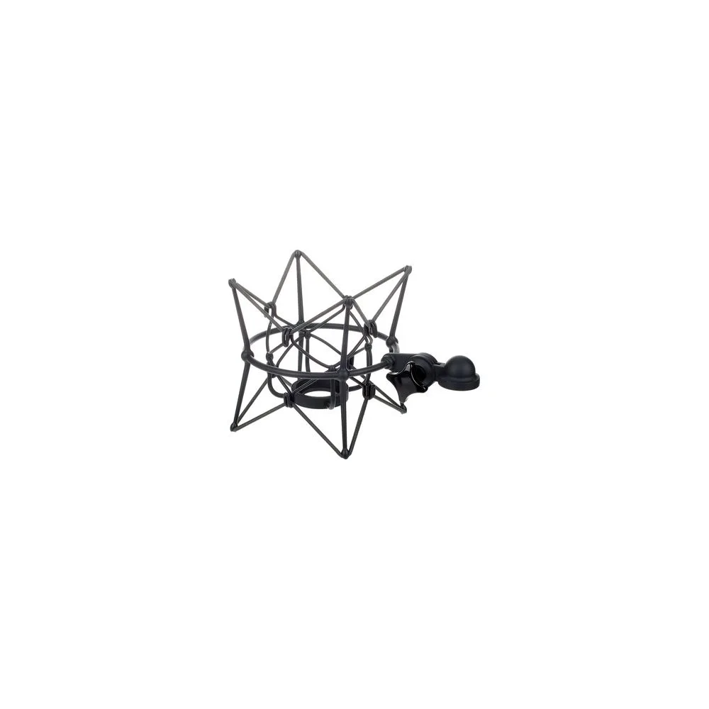 Neumann EA170 mt