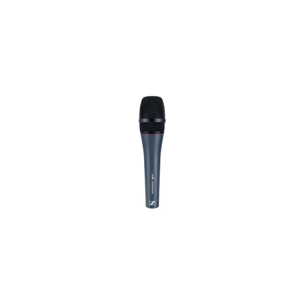 Sennheiser E 865