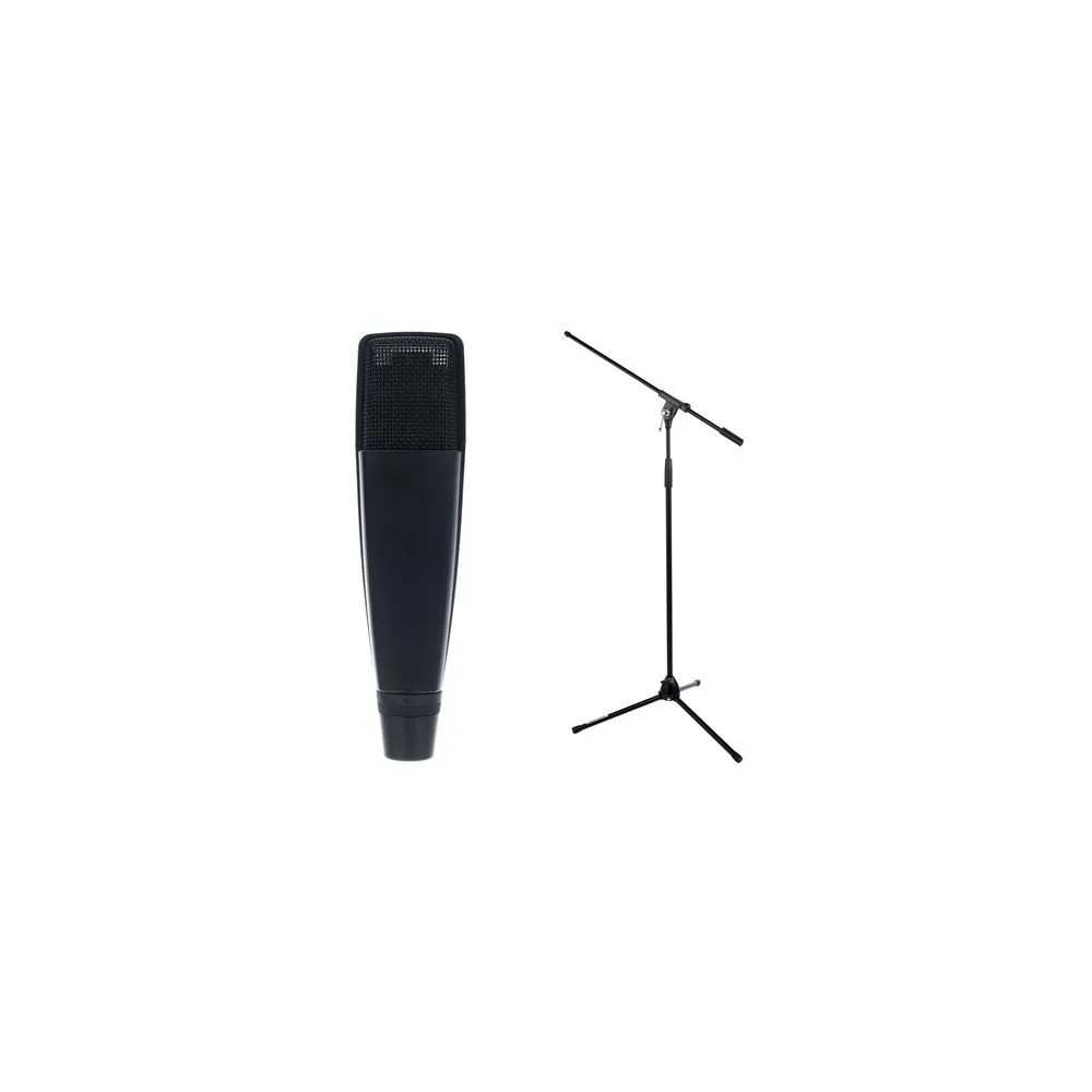 Sennheiser MD421U-2/MS 2003 Set