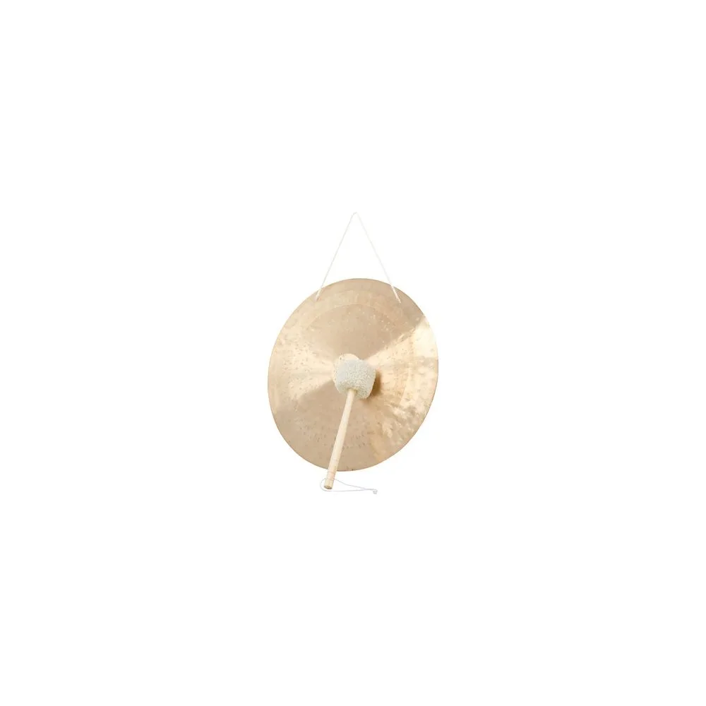 Asian Sound Тамтам TT-100 P