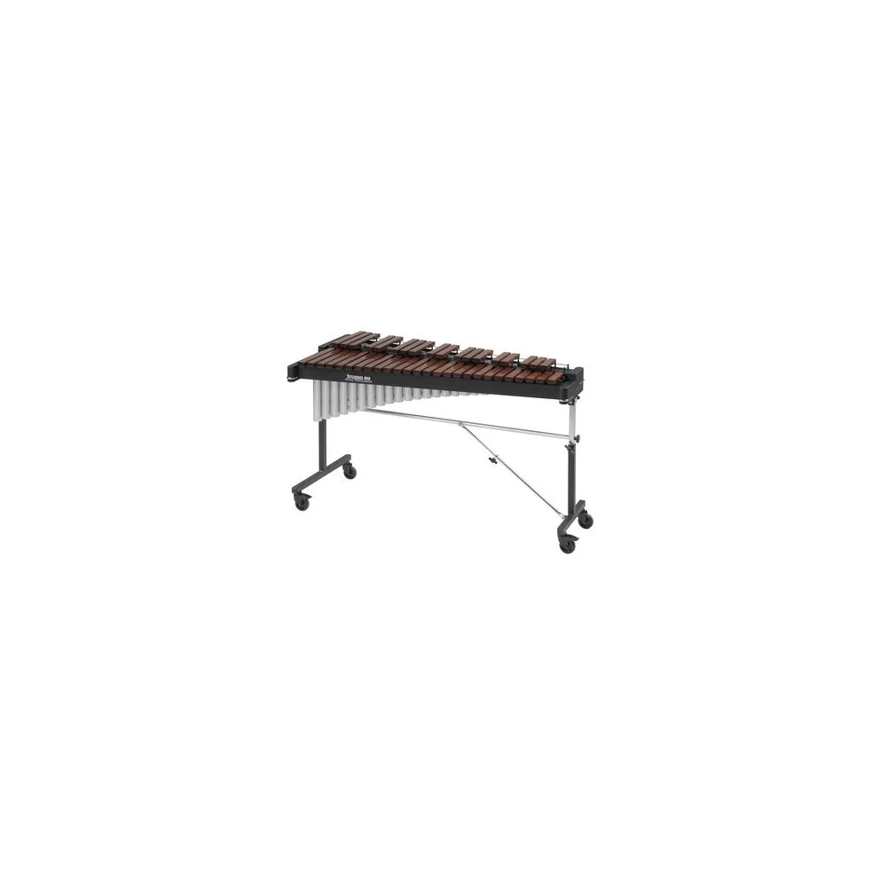 Studio 49 RXP/R 3050/V A=443Hz