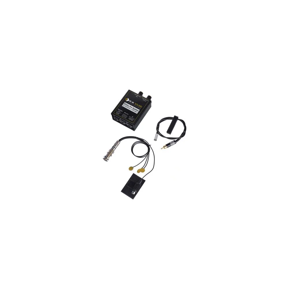 K&K Trinity Pro Mini System