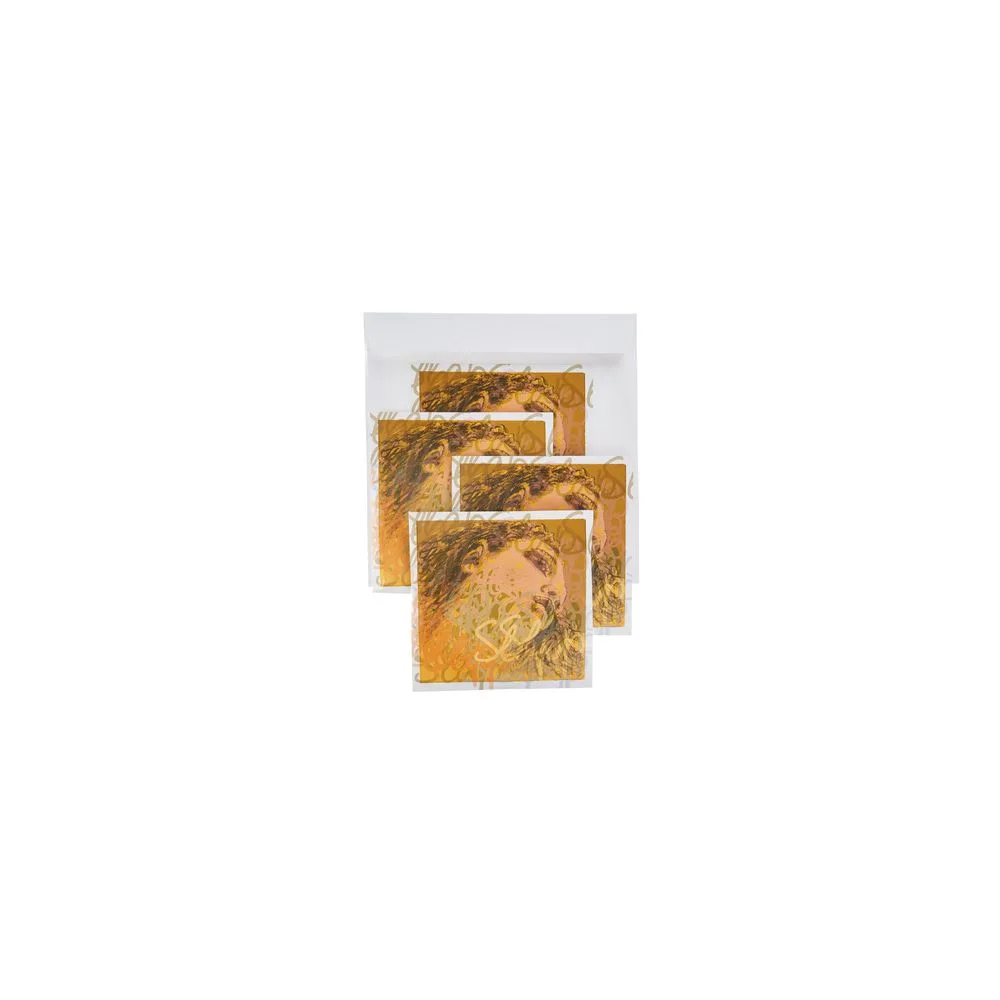 Pirastro Evah Pirazzi Slap Strings Set