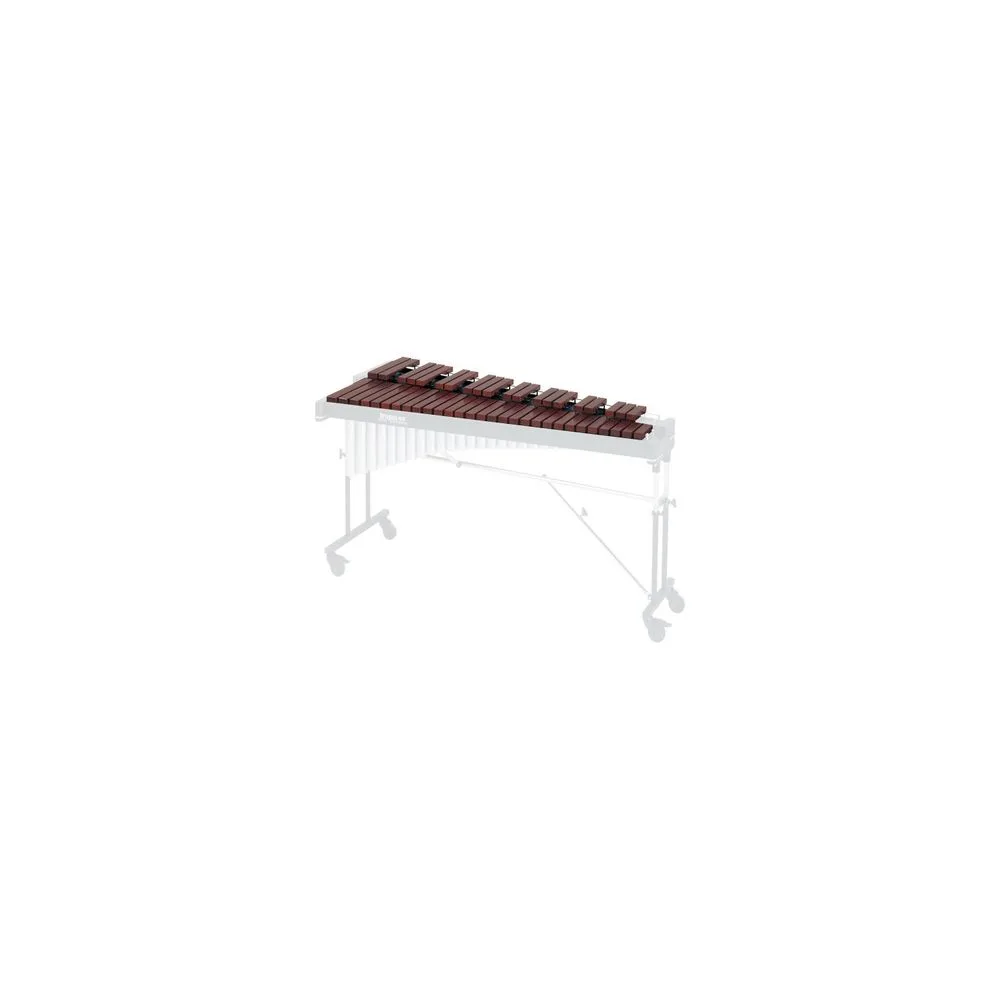 Studio 49 Bar Set RXC 3050/V A=443Hz