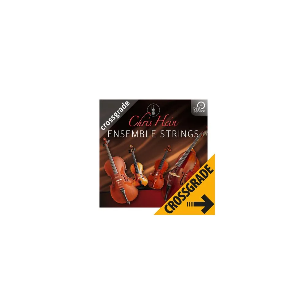 Best Service Chris Hein Ensemble Strings CG