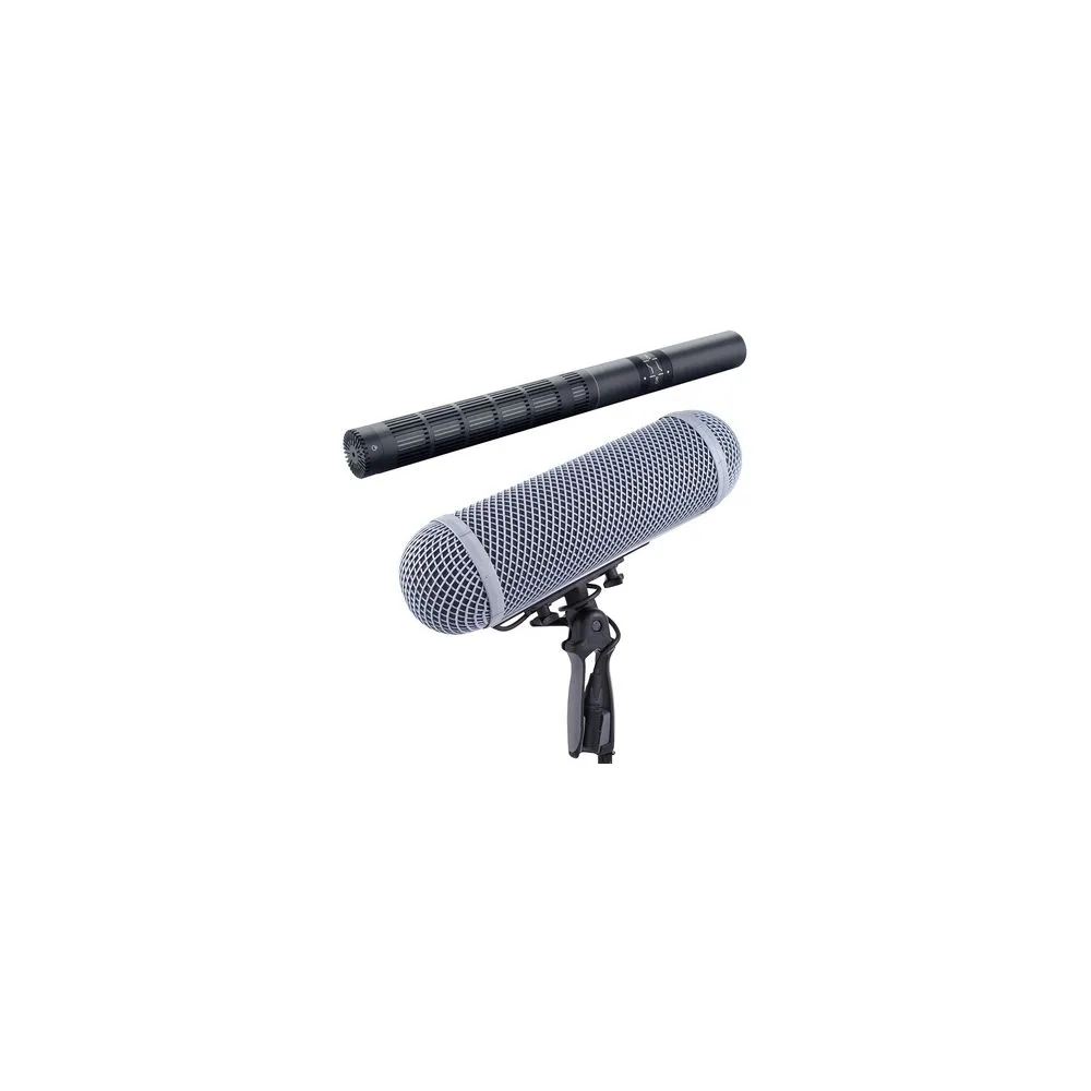 DPA 4017B Rycote WS 3 Bundle