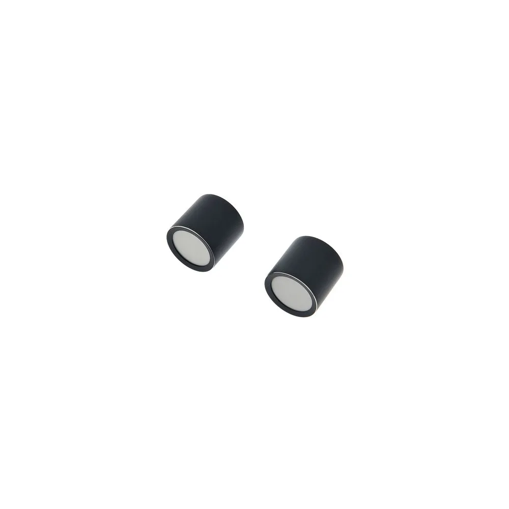 SE Electronics SE8 Omni Stereo-Capsule Set