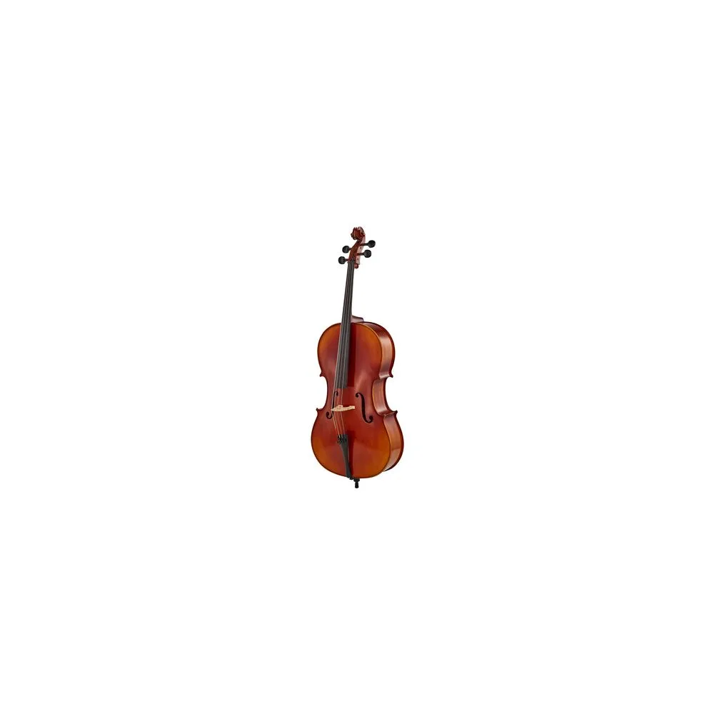 Gewa Allegro VC1 Cello Set 4/4 MB