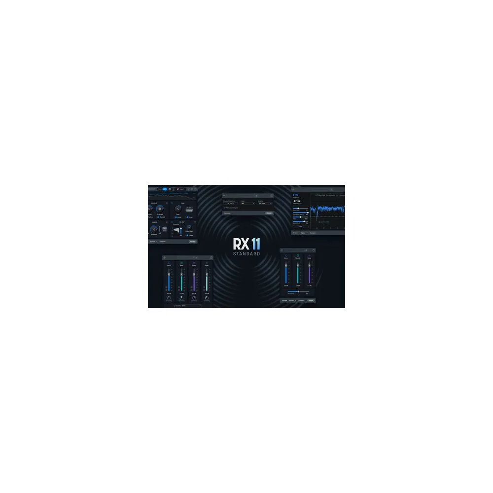 iZotope RX 11 Standard EDU