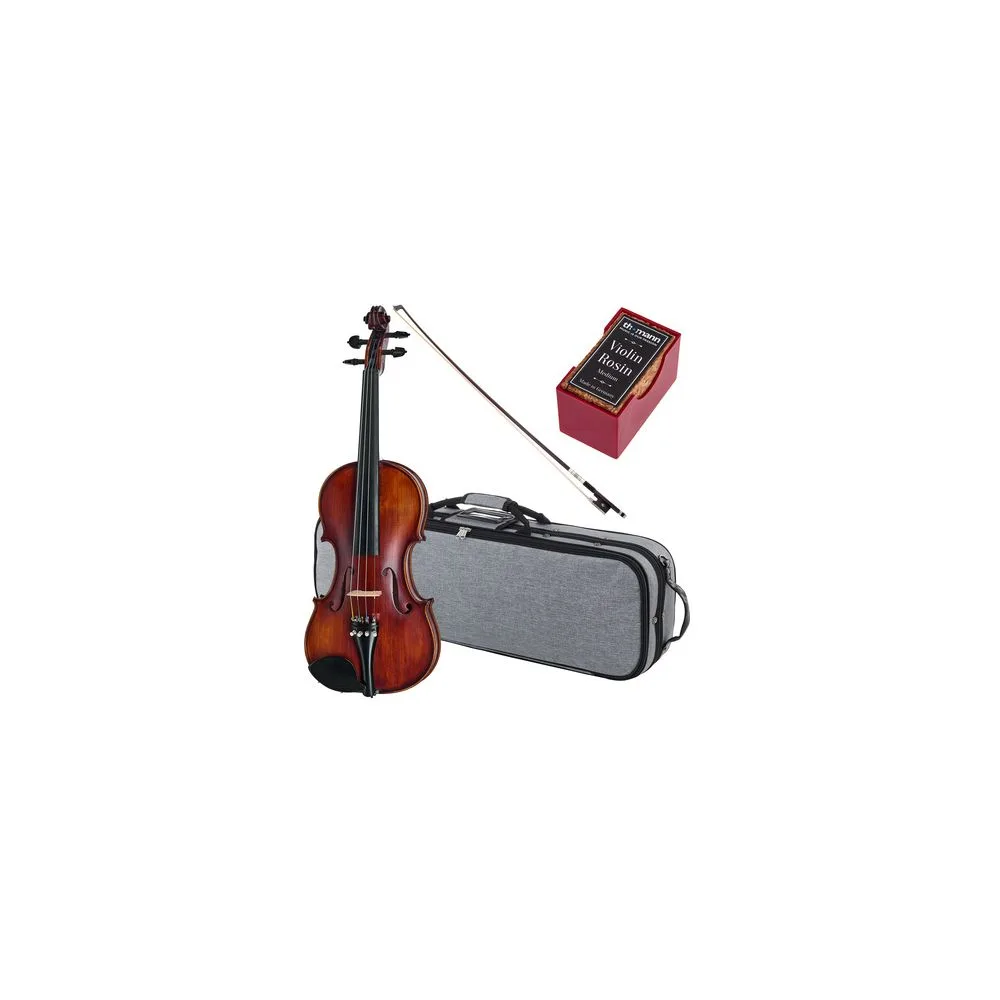 Roth & Junius Europe Orchestra Violin Set GE