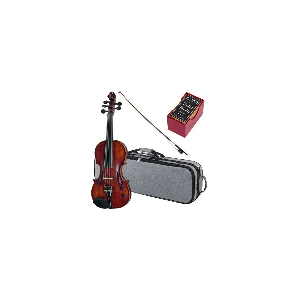 Roth & Junius Acoustic-Electric 5-Str Vn Set