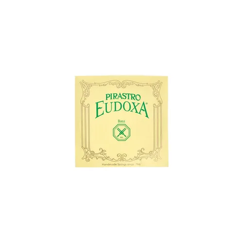 Pirastro Eudoxa Double Bass E 2,10m