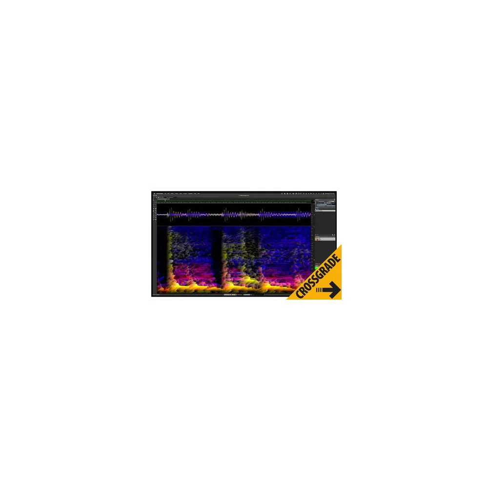Steinberg SpectraLayers Pro 12 CG