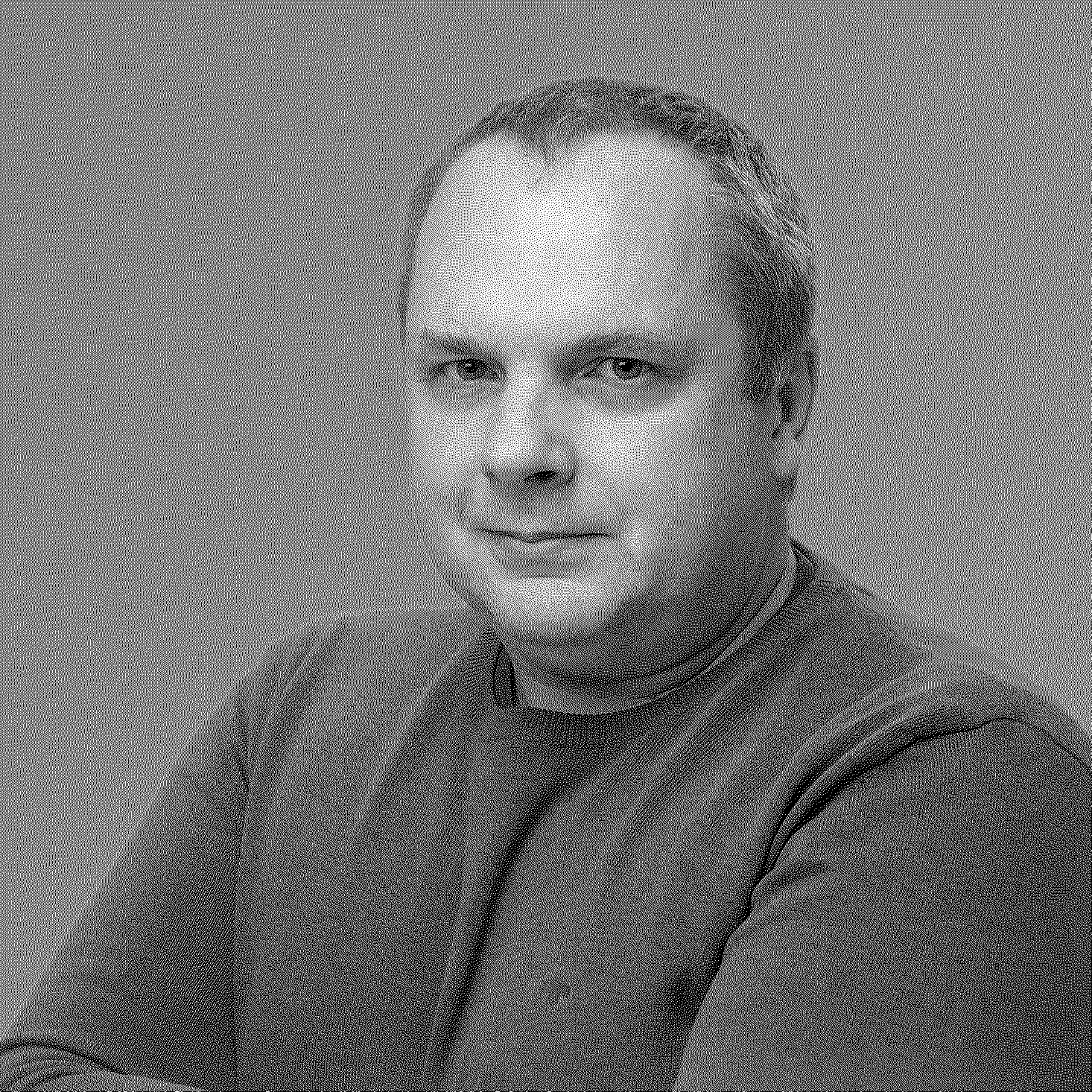 Алексей Борисов