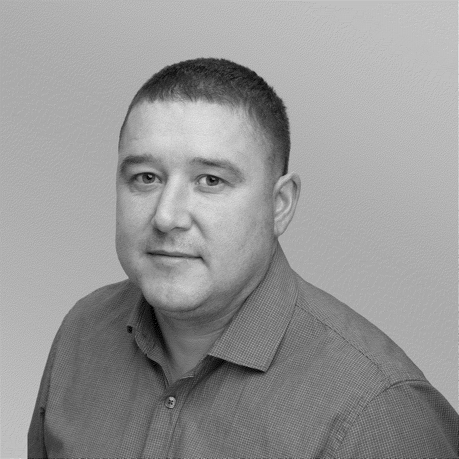 Алексей Сархантеев