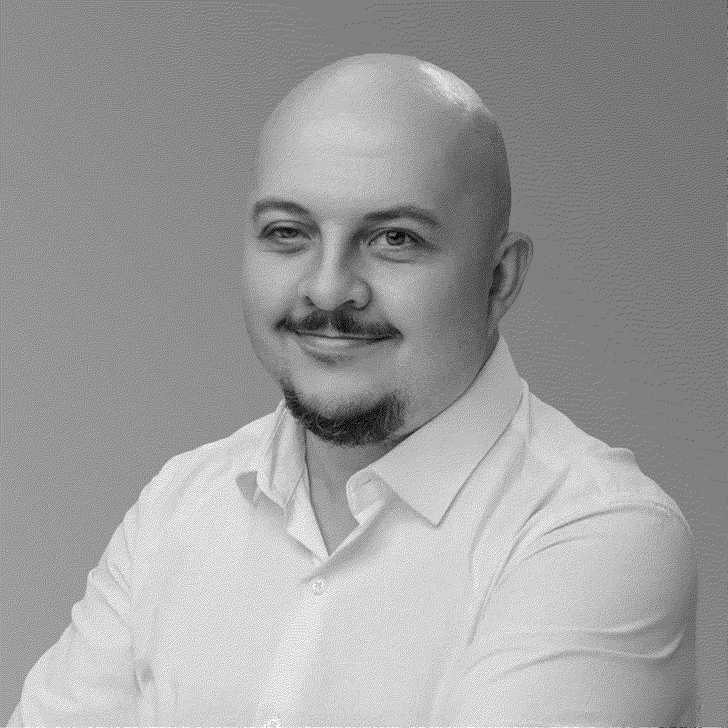 Алексей Шальнов