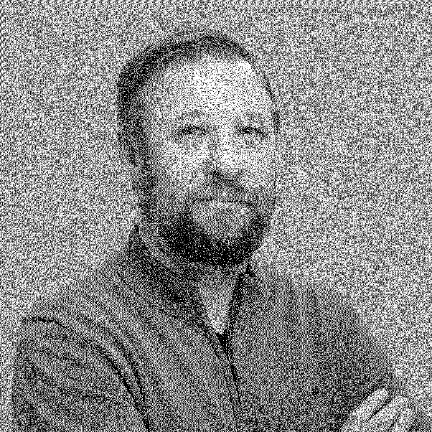 Вадим Кульба