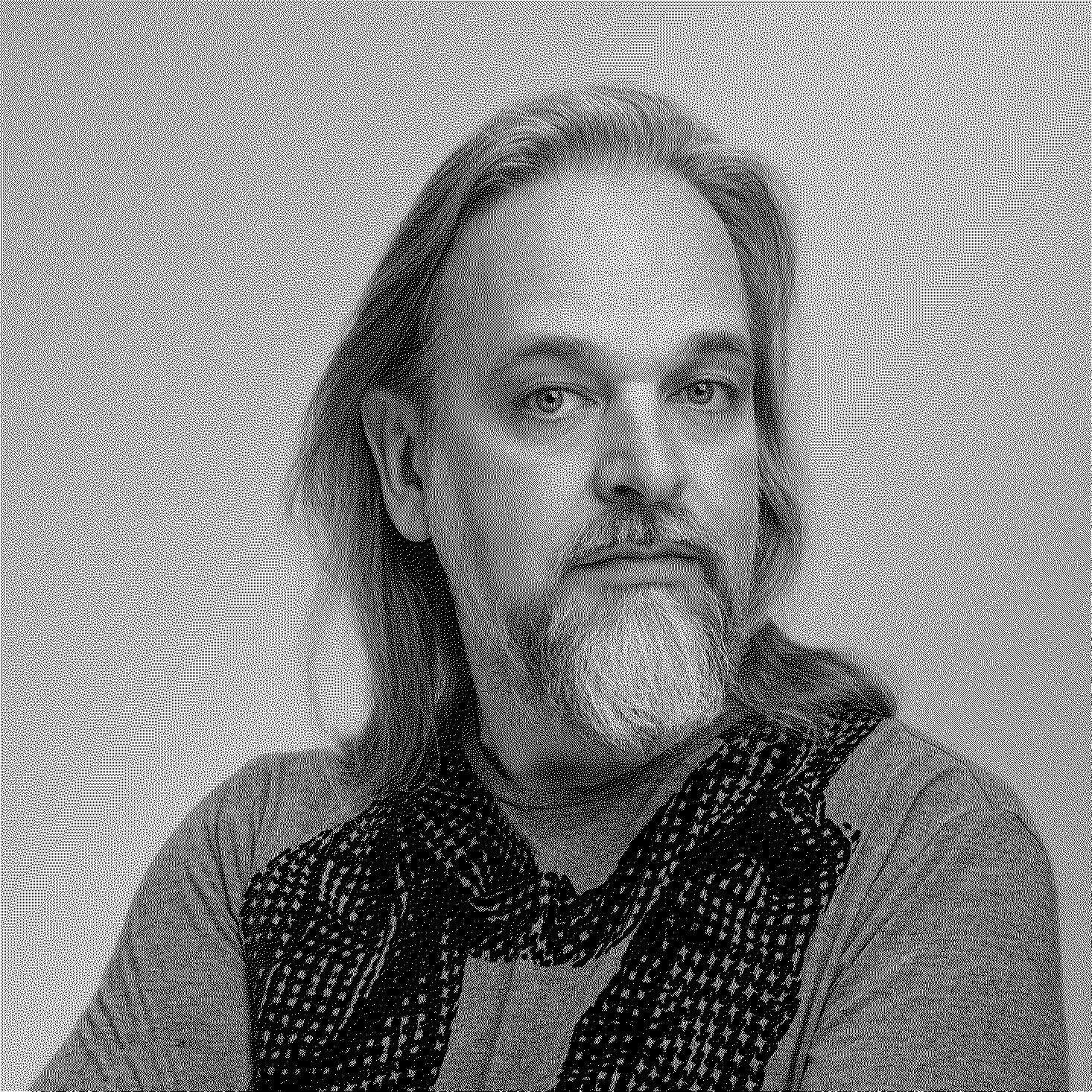 Александр Васильев