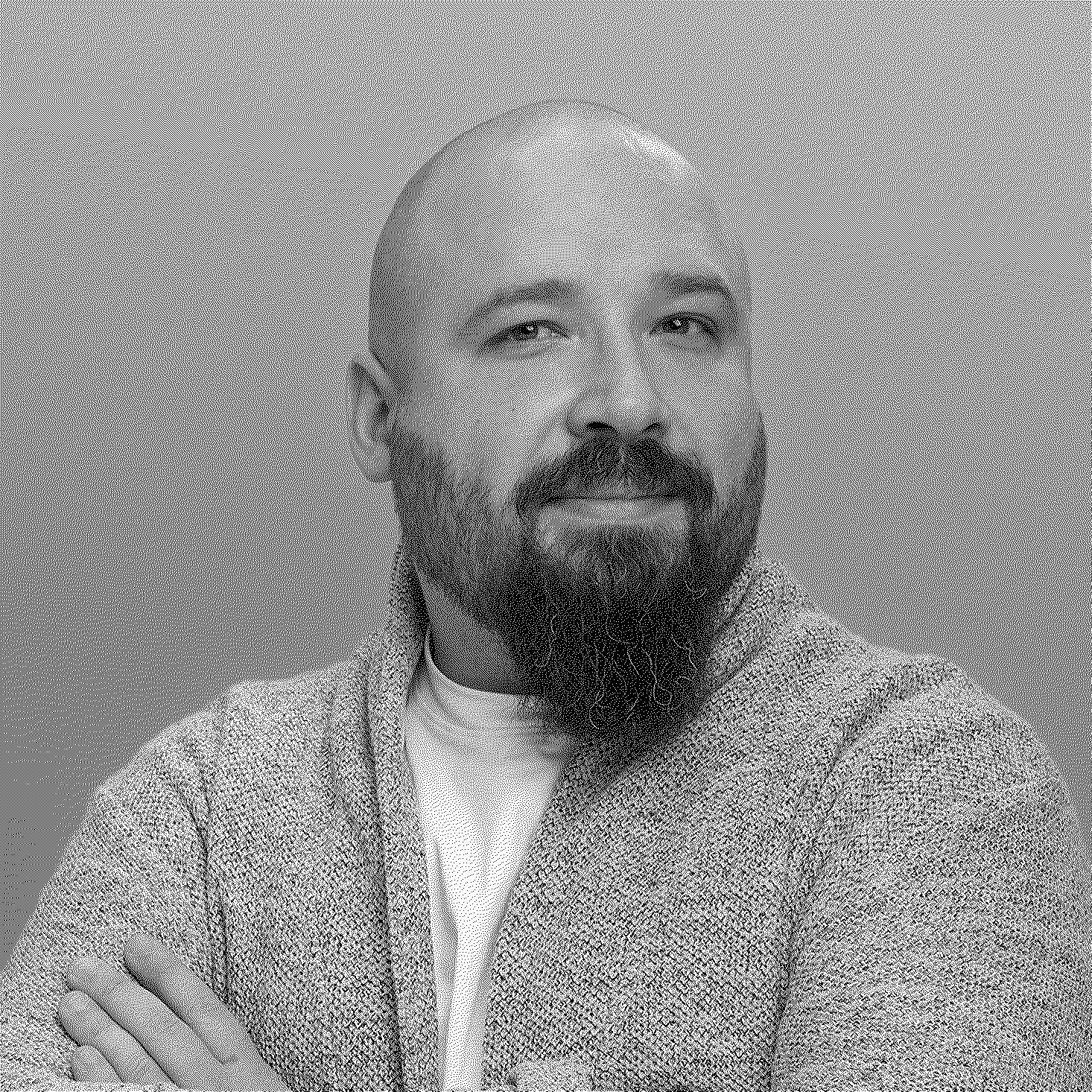 Влад Емелин