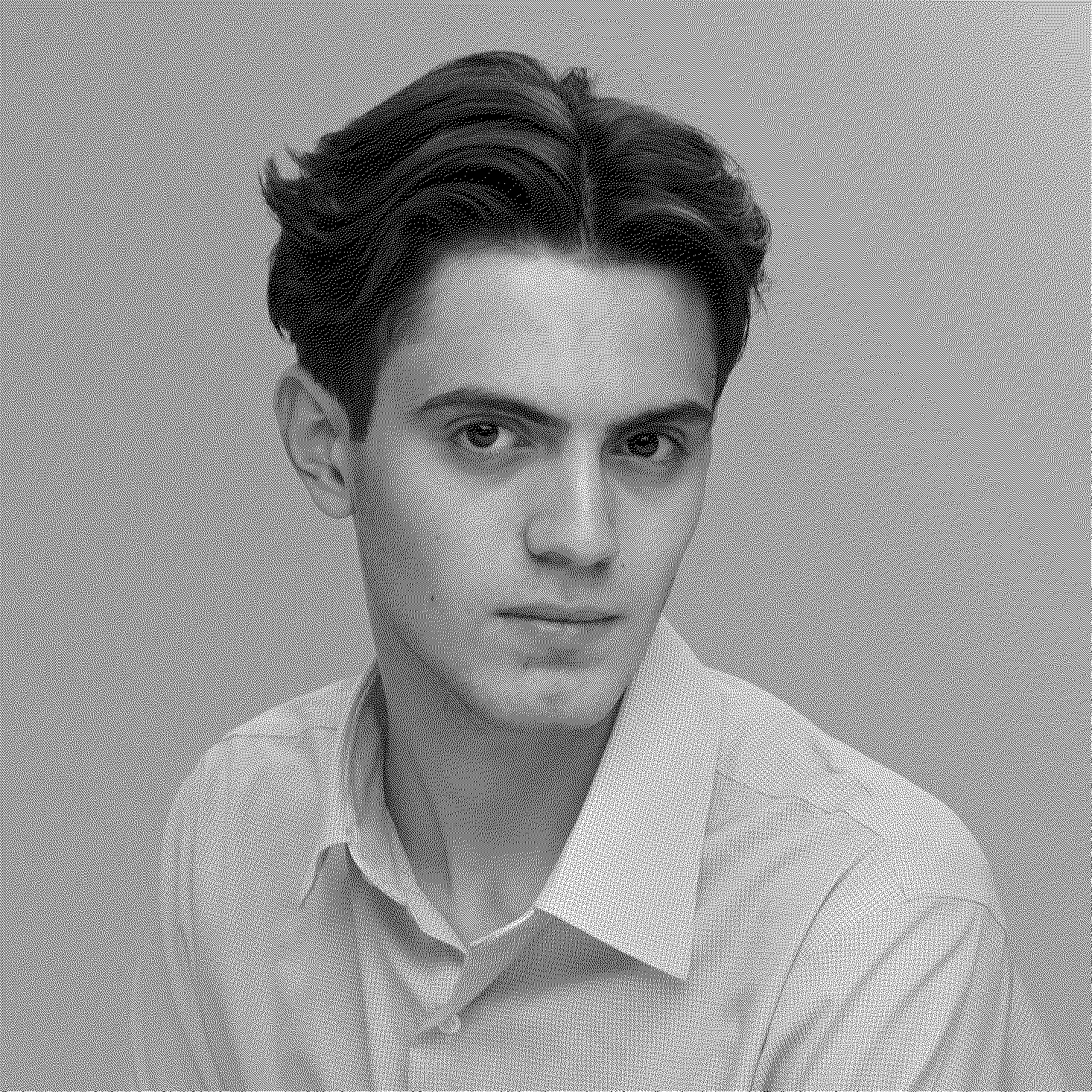 Давид Алексеев