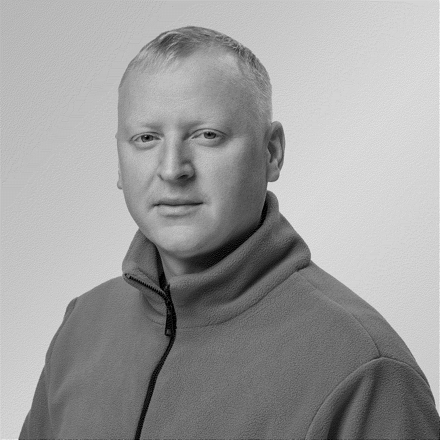 Денис Чувашов